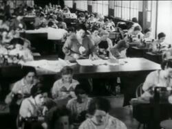 B/W 1934 high angle room full of women using sewing machines in WPA garment factory / documentary Stock Footage