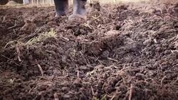 Person digging in garden Stock Footage