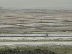 Landscape with crop limits Stock Footage