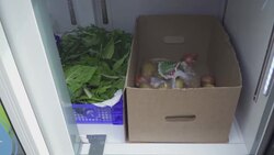 Community fridge tackles waste and food poverty   News Clip