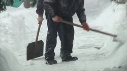 Animals at Belgrade zoo get extra pampering as freezing weather hits News Clip