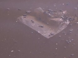 Trash floats in murky water. Stock Footage