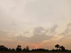 Sunset at the end of a cornfield. Time Lapse Stock Footage