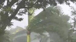 CLEAN : Hurricane Irma makes second landfall in Florida (2) News Clip