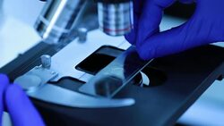 Researchers using a microscope in laboratory, slow motion Stock Footage