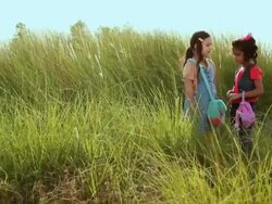 Two girls standing in the forest, Haryana, India Stock Footage