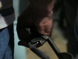 C/U Man hand with scissors to cut the hair of horses Stock Footage