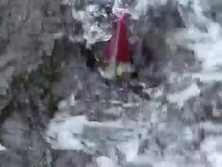 CU Coho salmon swimming in Horsefly river / Horsefly, British Columbia, Canada Stock Footage