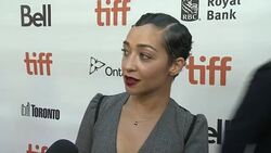 EVENT CAPSULE CHYRON - 'Loving' North American Premiere Presented By Focus Features At The Toronto International Film Festival 2016 Stock Footage