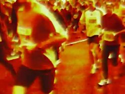 Marathon city runners Stock Footage