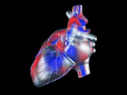 Transparent heart Stock Footage