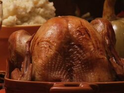 Thanksgiving Turkey Stock Footage