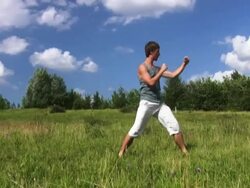 NTSC: Martial arts Stock Footage