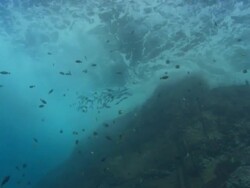 Waves, Partida, Mexico  Stock Footage