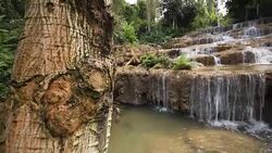 Water fall, Crane shot Stock Footage