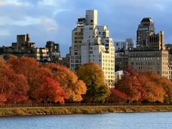 WS PAN Shot of autumn color trees and Central Park East Residents illuminated at sunset at reservoir / New York, United States Stock Footage