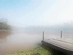 Mist and Fog on a lake Stock Footage