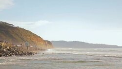 Torrey Pines Stock Footage