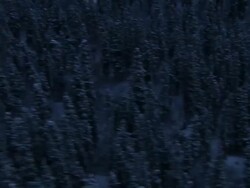 Long Shot aerial tracking-left - Snow blankets a vast evergreen forest. / Alaska, USA Stock Footage