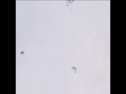 SYND 12-3-74 STREAKERS DESCEND FROM PARACHUTES ONTO UNIVERSITY OF ILLINOIS CAMPUS News Clip