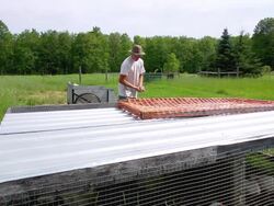 MS SLO MO Shot of Young farmer lift bag of feed for chickens in tractor/coop at organic farm. / Chatham, Michigan, United States Stock Footage
