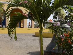 Old Plantation House in Manaca-Iznaga in Trinidad Cuba in the Caribbean Stock Footage