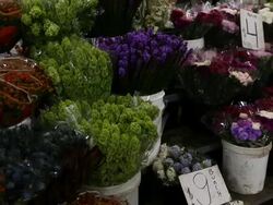 Sydney Flower Market Busy For Valentines Day Stock Footage