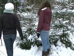 MS Two women cutting christmas tree / Saarburg, Rhineland-Palatinate, Germany Stock Footage