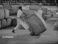 1940s: SOUTH AFRICA EXPORTS:  VS Female workers sorting large pile of wool, male workers loading large bundles of woolen fleece in warehouse, carting them away. Exporting Instructional Video