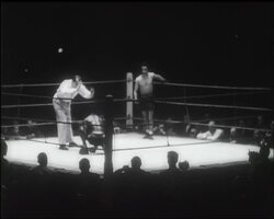 TABLES TURNED IN BANTAM WEIGHT FIGHT News Clip