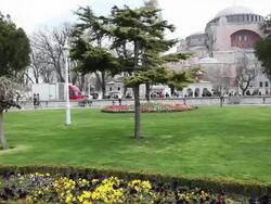 Gardens, Istanbul, Turkey Stock Footage