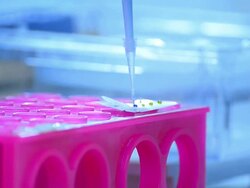 Scientist and bio lab experiment Stock Footage