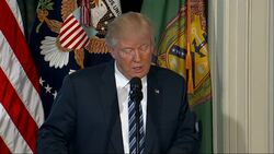 Trump Orders Review of Obama Tax Regulations News Clip