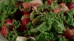 Restaurant food. Vegetable salad Stock Footage