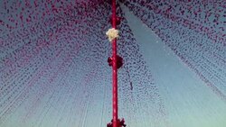 Teenager's party invitation goes viral News Clip