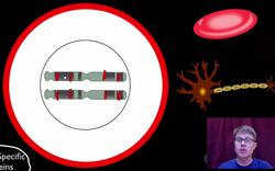 Development: Timing and Coordination Instructional Video