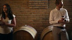 Wine tasting in a wine cellar, 4k. Stock Footage