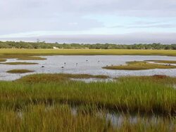 WS PAN View of landscape of marsh / St. Simons Island, Georgia, United States Stock Footage