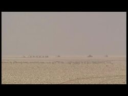 Sky News: First Gulf War Footage News Clip