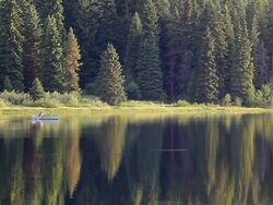 forest lake - person in canoe Stock Footage