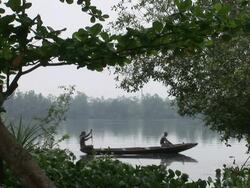 Fisherman glide through the water in Wouri Bay Stock Footage