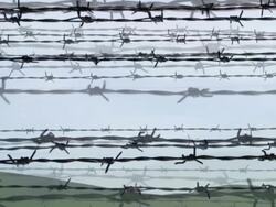 BARBED WIRE - defocused cloudy landscape. slow expanding flow (loop) Stock Footage