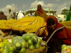 Woman selling fruit from wheelbarrow Stock Footage