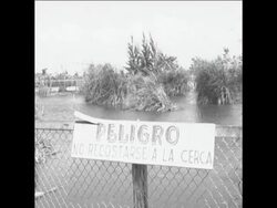 CAN185 CUBA SCENES Instructional Video