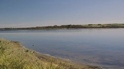 PlasticSeas: Exploring the Impact of Plastic Pollution on Australia's Marine Ecosystems Instructional Video