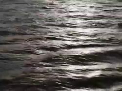 Panoramic view of lake, Gadisar Lake, Jaisalmer, Rajasthan, India Stock Footage