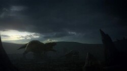 A T-rex attacks a dinosaur with a turtle-like shell, then trips and falls, impaling itself with another dinosaur's horn in a computer generated animation. Stock Footage