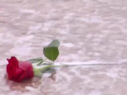 divorce Stock Footage