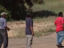 Migrants Solicit Work Stock Footage