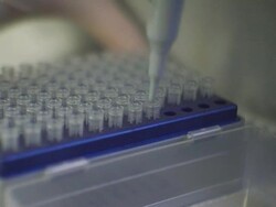 ECU, SELECTIVE FOCUS, Device dipping into tray of tips Stock Footage